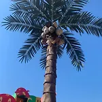 Chomiczowka ウェバ