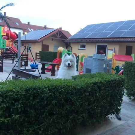 Bed and breakfast Chomiczówka Łeba