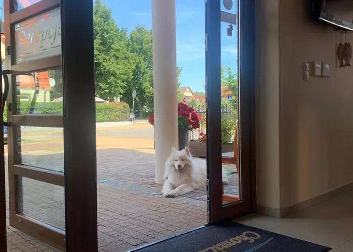 Nocleg ze śniadaniem Chomiczówka